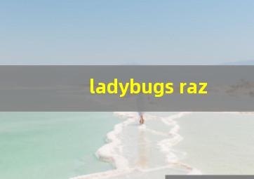 ladybugs raz